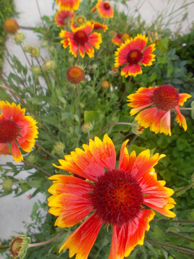 DSCN2573