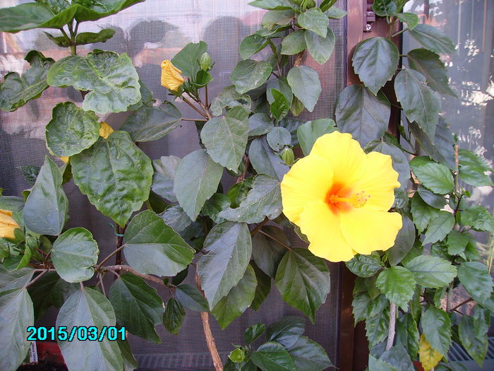 PICT2142
