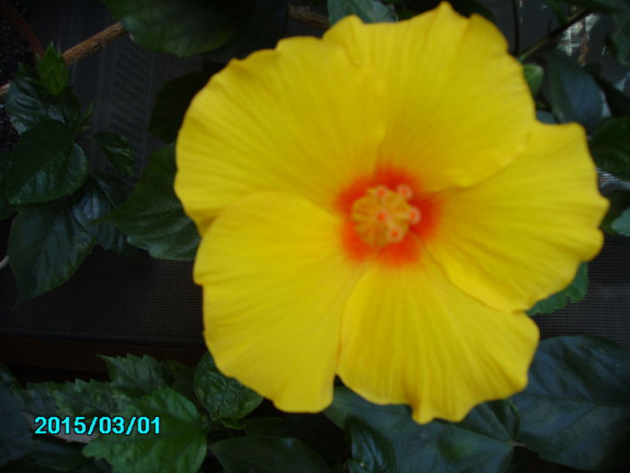 PICT2140