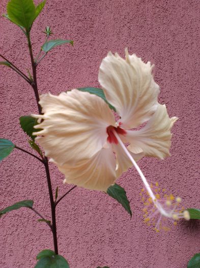 Sprinkle RAine 27.07.015