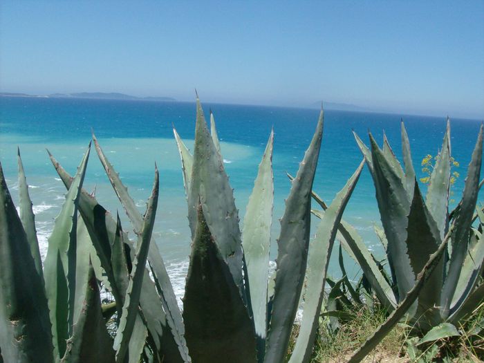 CORFU 23-.30.06 (804) - CORFU