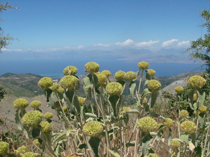 CORFU 23-.30.06 (847) - CORFU