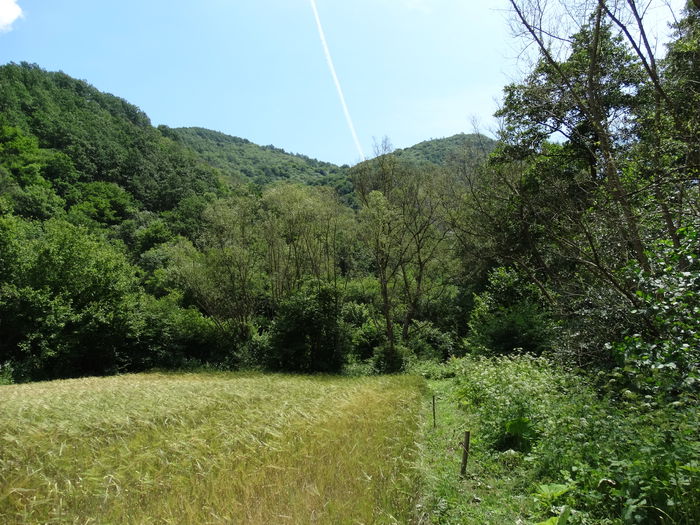 DSC02226 - CHEILE MAZII