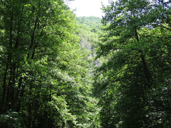 DSC02242 - CHEILE MAZII