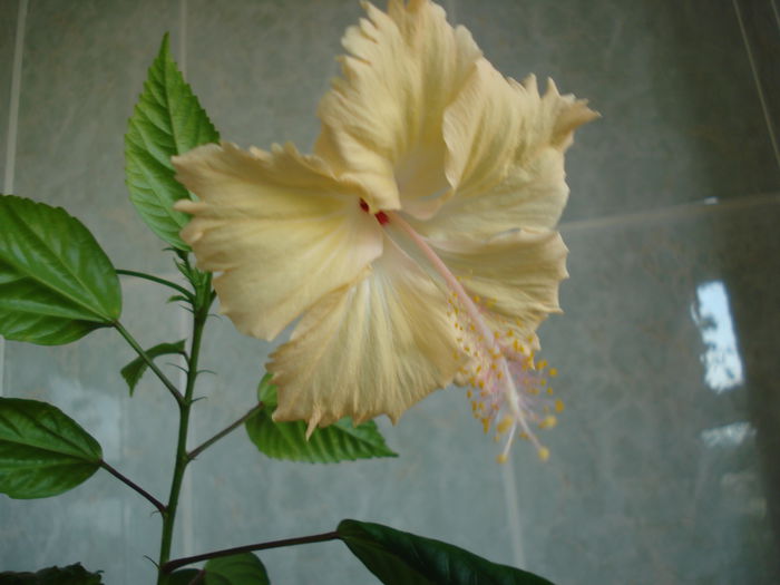 DSC02675