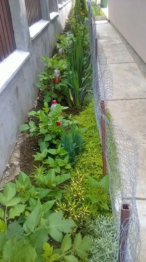 WP_20150621_12_24_02_Pro