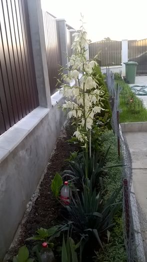 WP_20150703_05_56_19_Pro