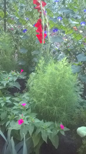 WP_20150723_06_00_22_Pro