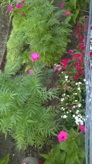 WP_20150727_05_59_43_Pro