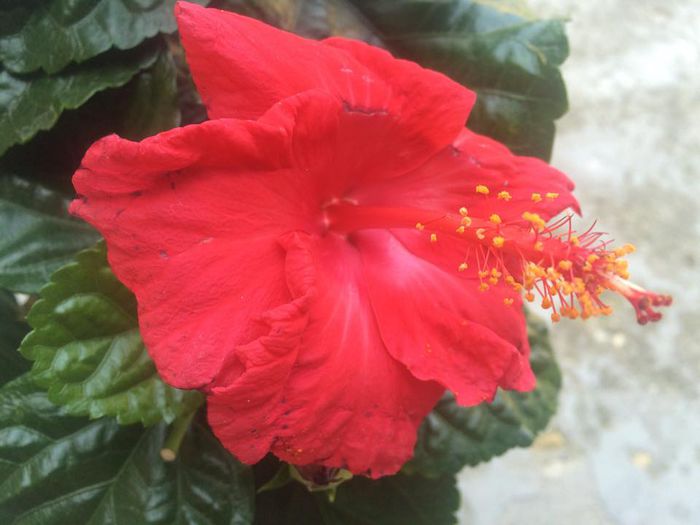 11798130_992000960851685_999670790_n 11798130_992000960851685_999670790_n