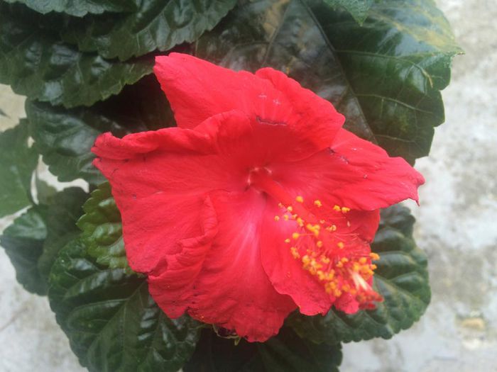 11798303_992000970851684_500754899_n 11798303_992000970851684_500754899_n