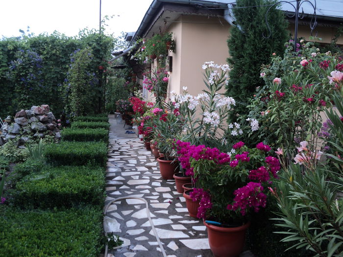 Poftiti in curte la mine - A venit vara 2015