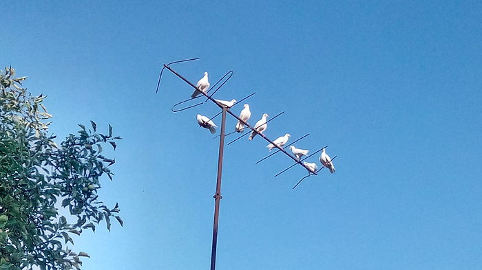 IMG_20150718_190906_1