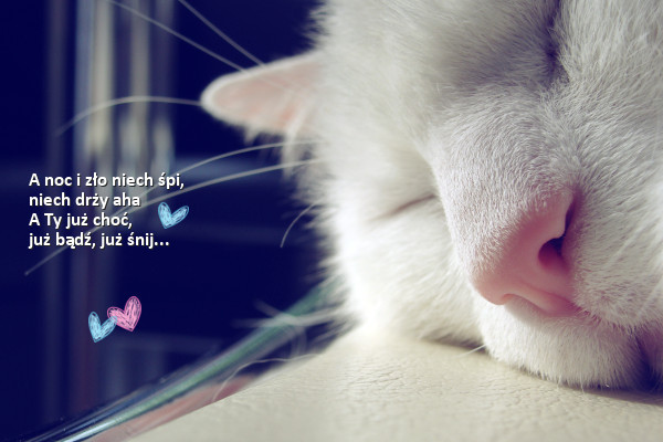 0034854065 - Album pentru Kuku