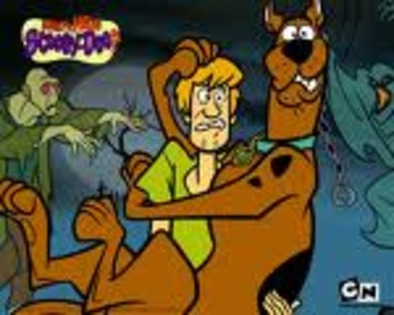 CAFE14T5 - scooby doo