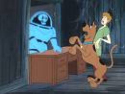 CAOTI1ZO - scooby doo