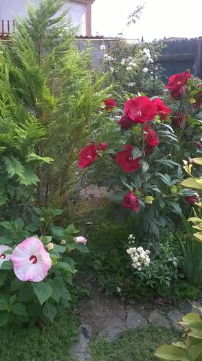 WP_20150730_058