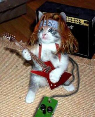 pisica rock:))