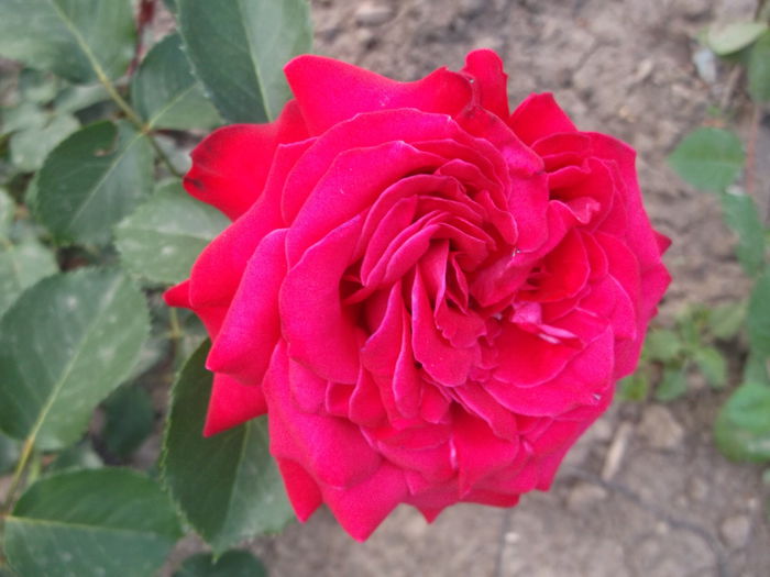075