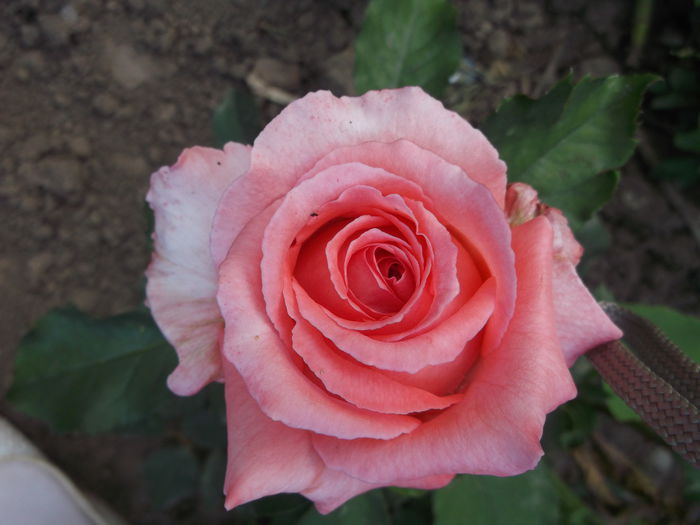 083