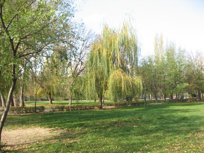 Parcul Plumbuita -cartier Colentina; este amplasat pe malul lacului Plumbuita
