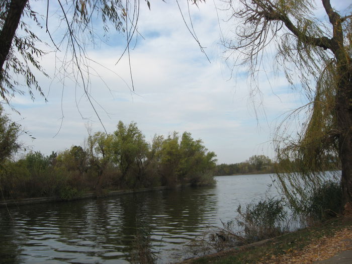 lacul