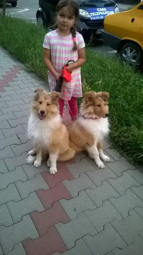 FB_IMG_1436797778746