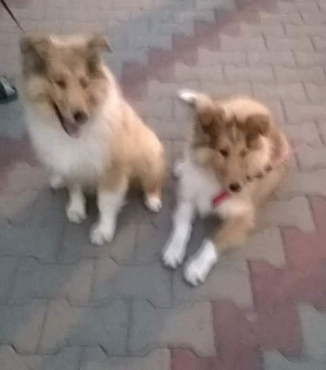 FB_IMG_1436797716085