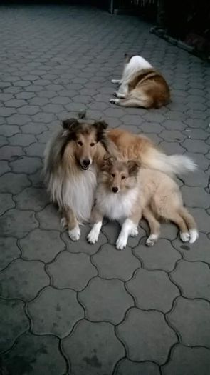 Tatal puilor cu fiica sa (TOMAS)