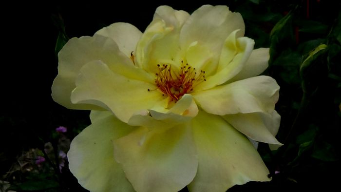 DSC01198