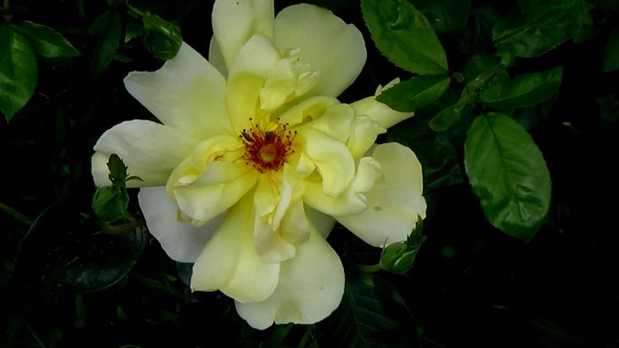 DSC01199