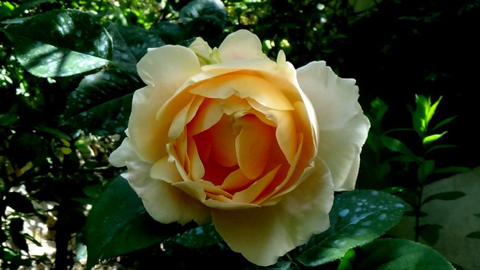 DSC01380