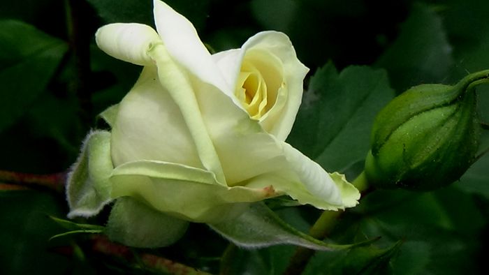 DSC01489
