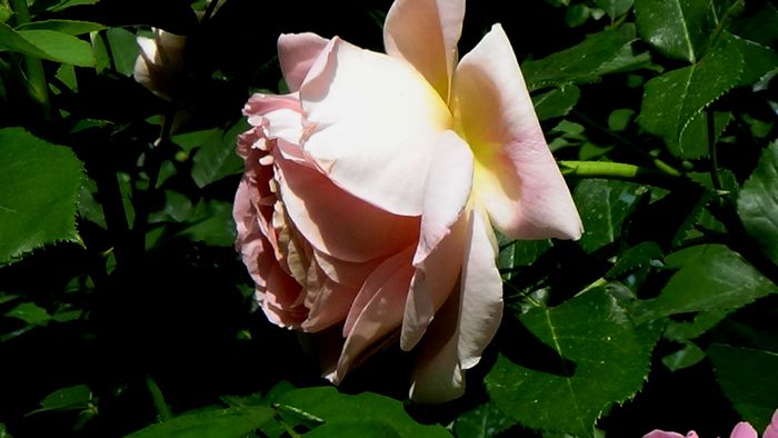 DSC01558