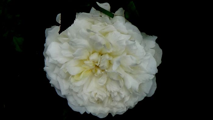 DSC01610