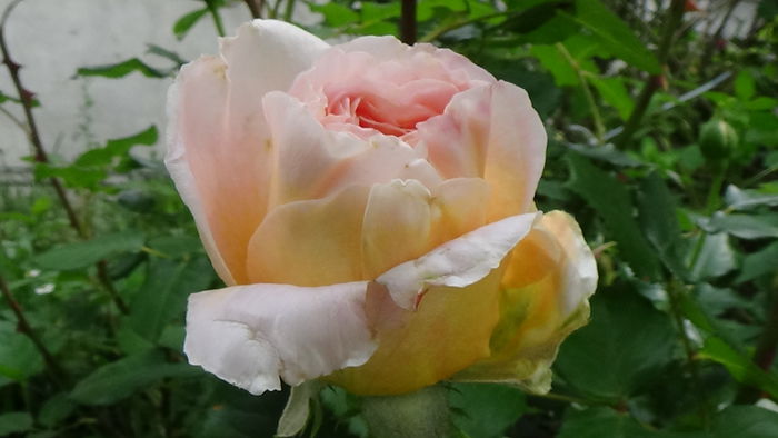 DSC01643