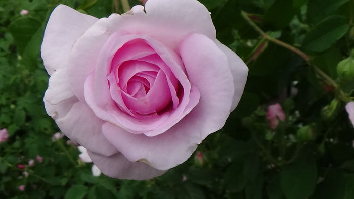 DSC01649