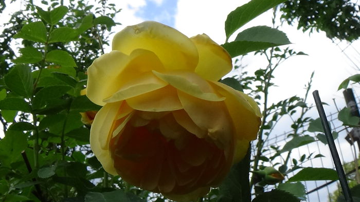 DSC01670