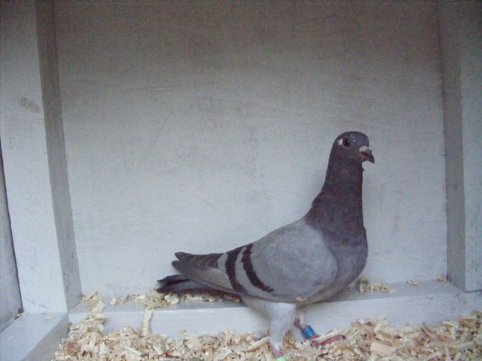 Picture 041 - PUI 2015