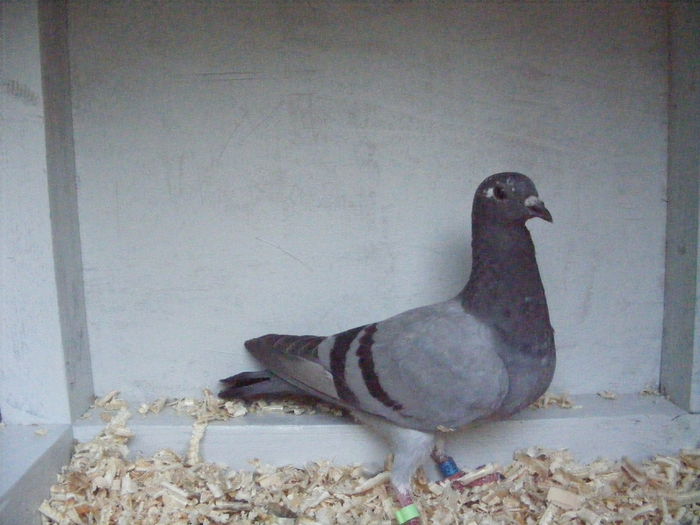 Picture 043 - PUI 2015