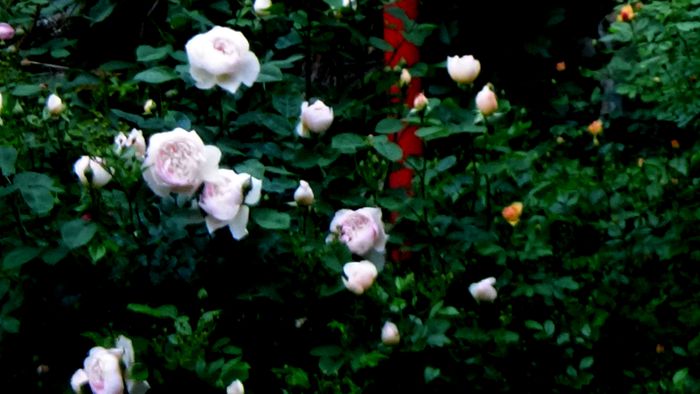 DSC01926