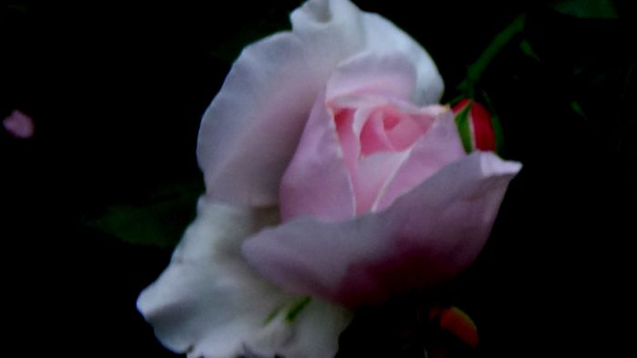 DSC01931
