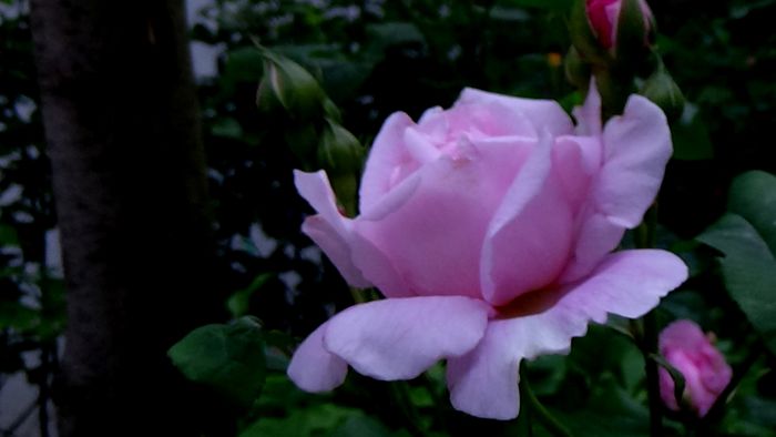 DSC01940