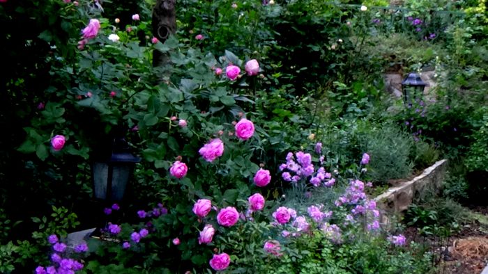 DSC01963