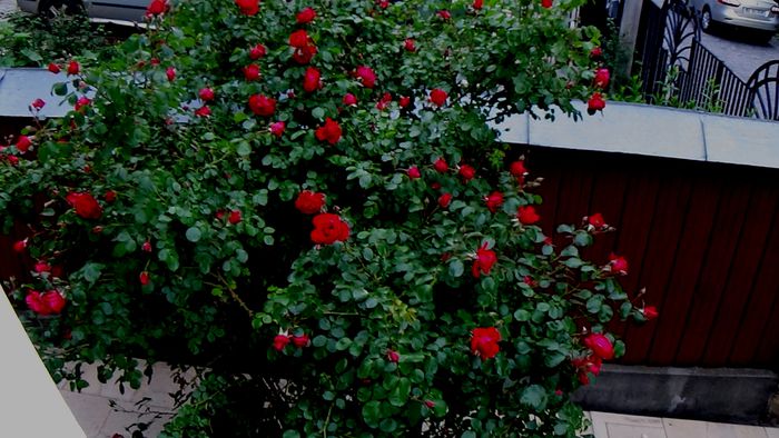 DSC01968
