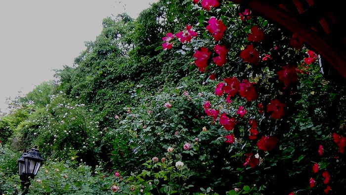 DSC02166