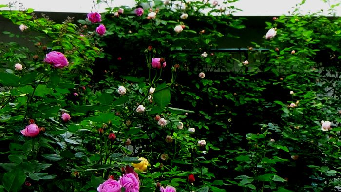 DSC02202