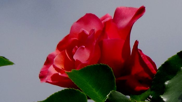 DSC02330