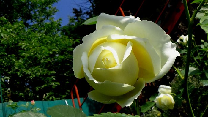 DSC02360