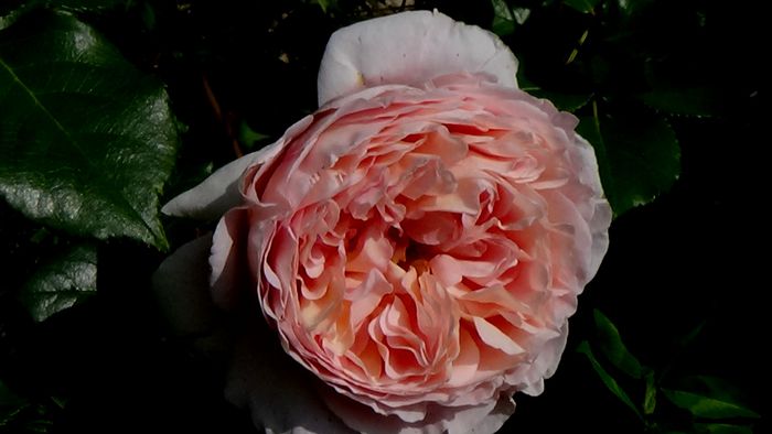DSC02501